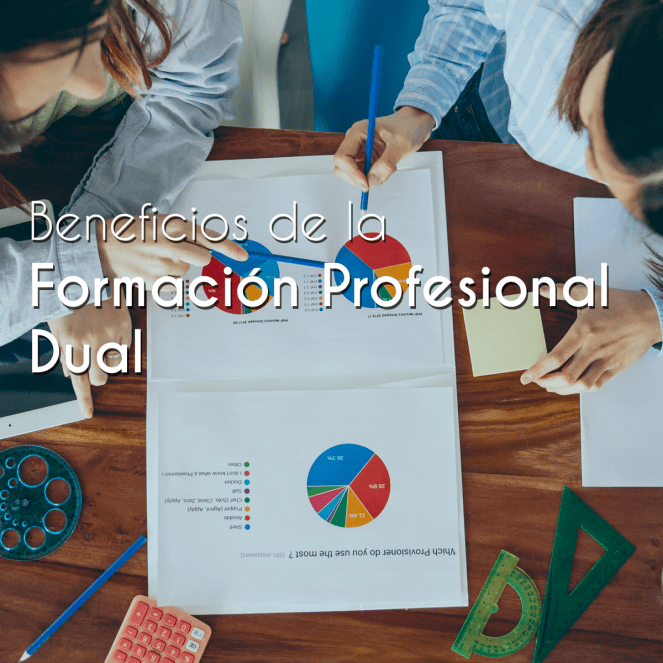 formacion dual